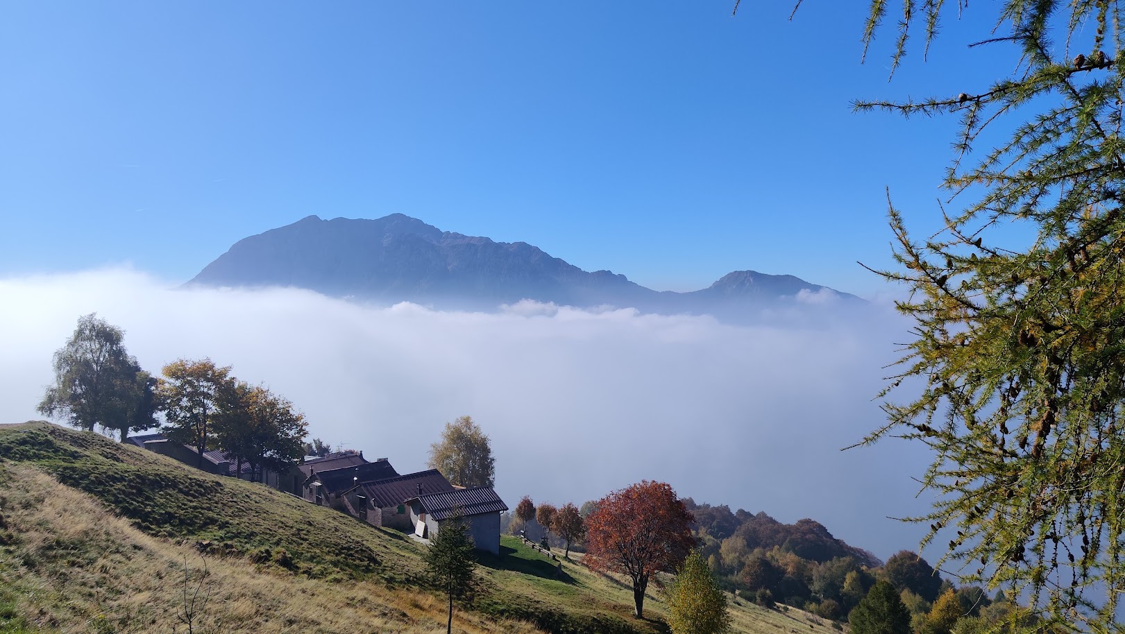 Foto del giorno
